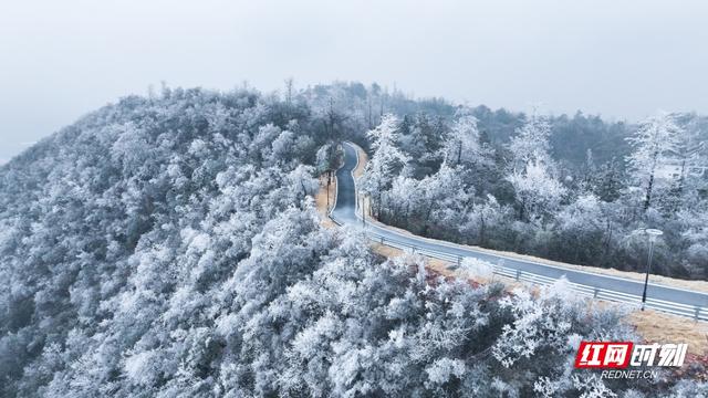 衡山县：雾凇扮靓冬日 紫金“仙境”宛若童话