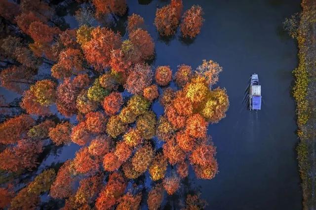 秋日特调！南京“西红柿炒蛋”皮肤已限时上线！