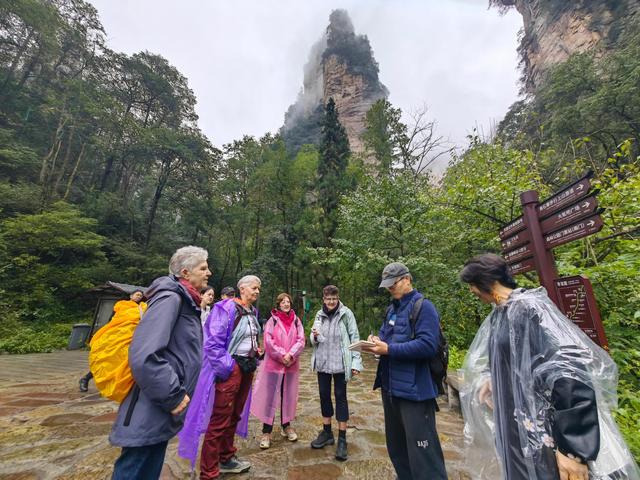 德国成功抗癌女艺术家打卡张家界