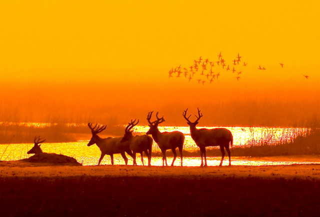 组图|黄海1号，331公里的秋日画廊