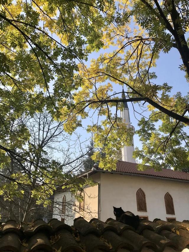 全球最惨首都，世界历史的伤痛起点