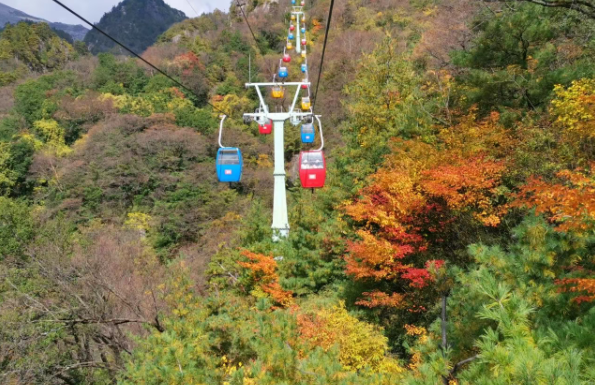 你的周末含“秋”量是多少？来秦岭测测！