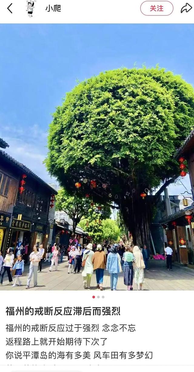 后劲太大！我们收集了外地人眼中福州的100个心动理由……