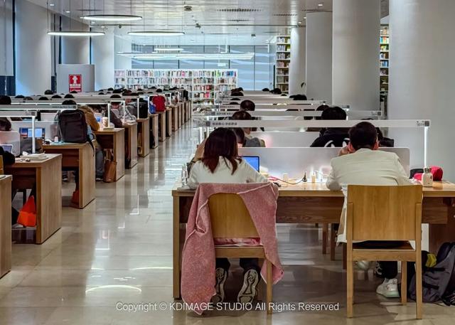 ​别再说深圳是文化沙漠！这份双馆暴走攻略，让你重新认识这座城市