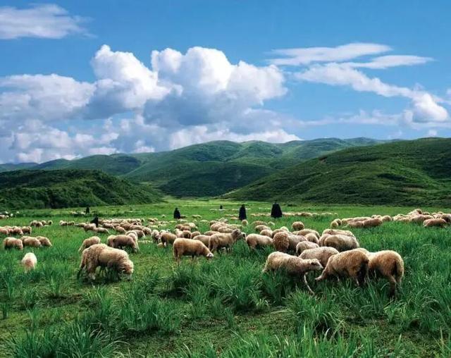 【跟着戏剧节游凉山】以戏剧为媒，探凉山之美（东线剧场）