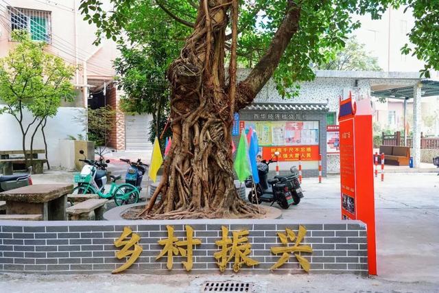 改造完成！里水西华文旅提升项目实景曝光→