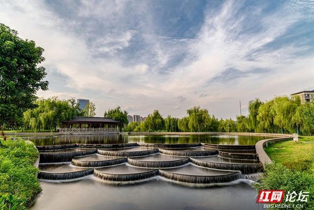 【高清湖南】绿树、流水、花海…… 邂逅长沙洋湖旁的治愈角落