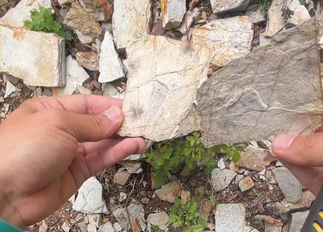 来辽宁“寻宝”，捡石头路线都给你摸清楚儿的