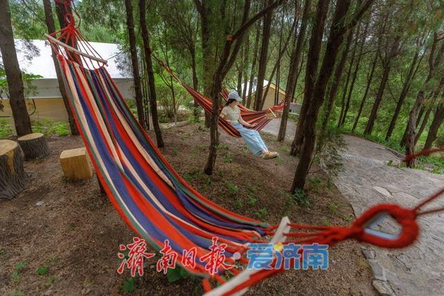 一年四季 泉在济南丨红叶谷打造全新露营地，解锁花间旅游新玩法