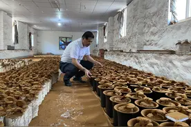 总产值近3亿元 湖州市中药材产业发展步入快车道图片