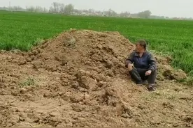 “没照顾够”，父亲天天去母亲墓地陪伴，儿子：如果找不到他就肯定在那里图片