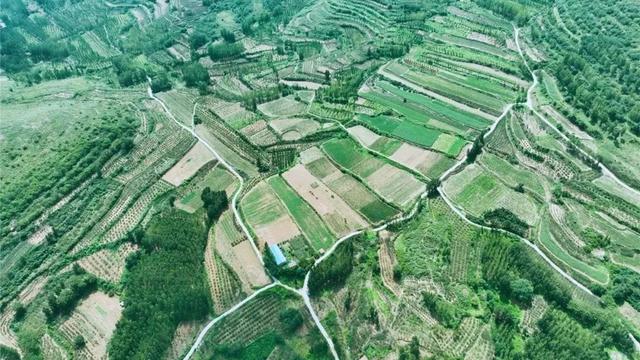 邹平市西董街道：一场夏雨后 山水换新颜