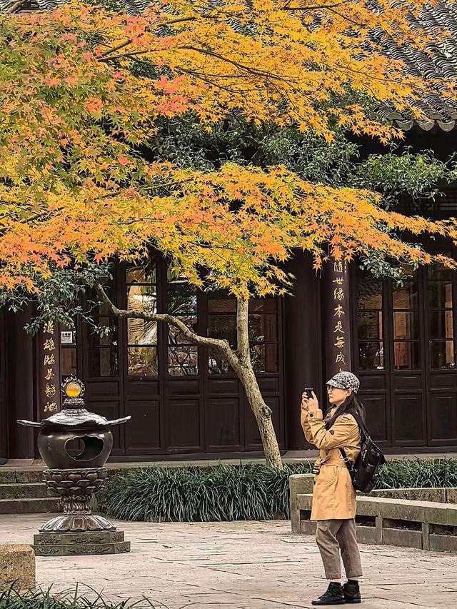 晚潮｜西湖赏枫人群中为何少了苏轼