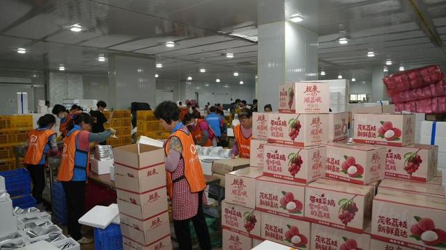 2025年中国农民丰收节来了，淘宝5年销售农产品超1.3万亿