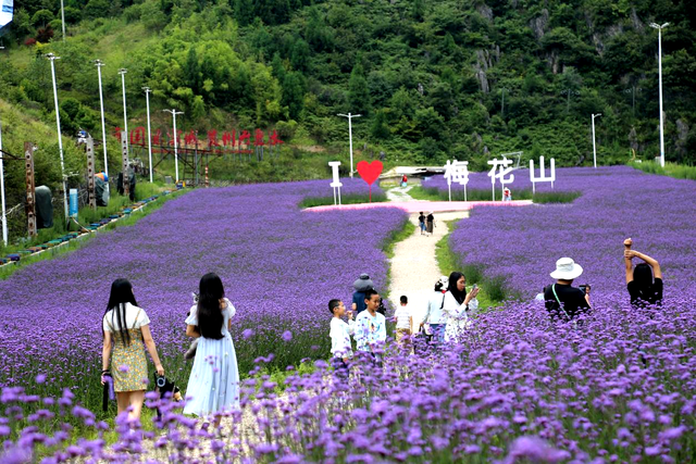 贵州旅游大家谈｜让赛事流量转化为发展增量