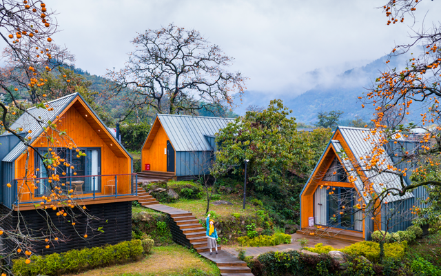 秋天来罗田，好“柿”正发生！