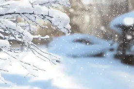 局部暴雪！杭州市发布低温雨雪冰冻天气防御工作提示图片