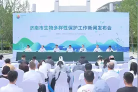 果然视频｜金雕、白鹤……济南现有国家一级重点保护野生动物6种图片