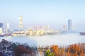 武汉金银湖出现平流雾景观图片