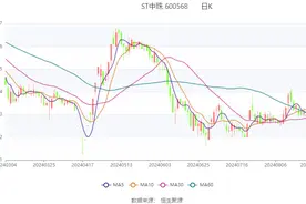 ST中珠：2024年上半年亏损6530.11万元图片