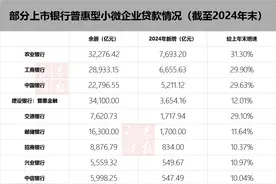 普惠小微贷款延续高增 各地专班精准破解企业融资个性化难题图片