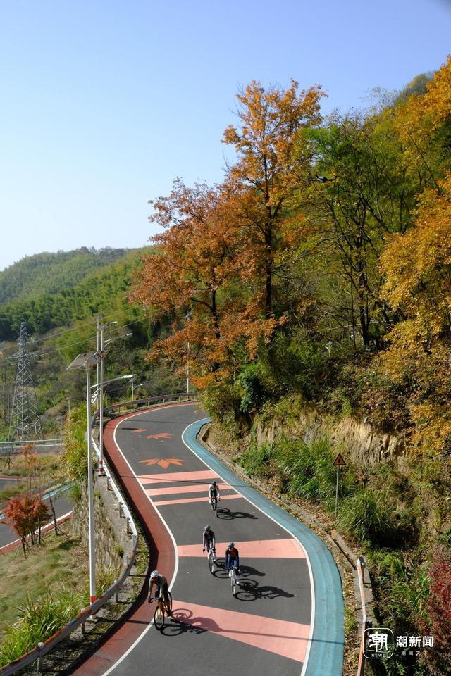 绍兴：秋景里的骑行热