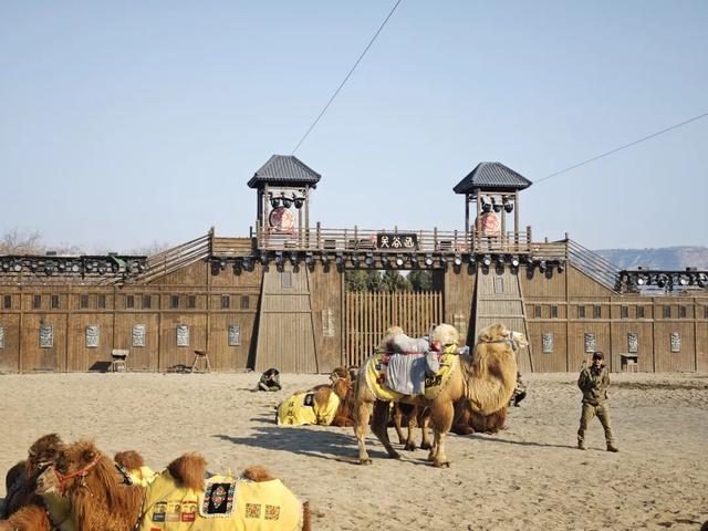 驼铃叩响函谷雄关 豫疆同心文化交融