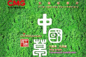 连结中非的“幸福草”！总台纪录片《中国草》即将播出图片