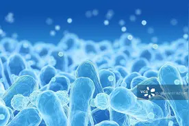 香港一医生感染大肠杆菌离世！专家：该类菌可引发溶血性尿毒综合征图片