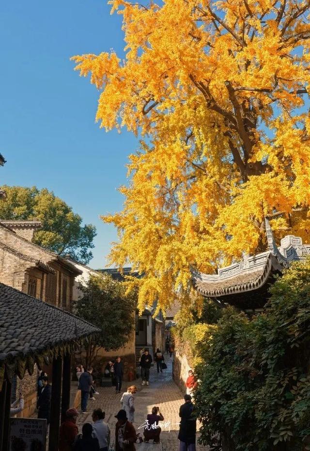 突然全黄了！无锡人注意！