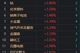 收评：沪指窄幅震荡微跌 AI概念股集体大跌图片
