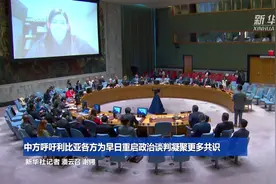 中方呼吁利比亚各方为早日重启政治谈判凝聚更多共识图片