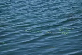 今起，天府新区全域禁止！图片