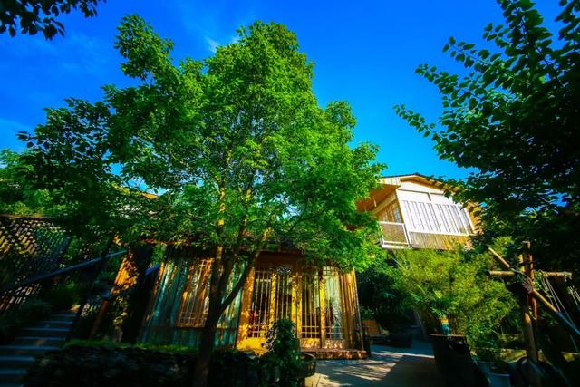 就在达州耍秋假！多个景区官宣：免票、半价