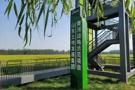 荷花路街道打造济南市近郊农文旅基地，助力乡村振兴图片