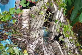 茂名发布今年首次洪水红色预警！水库泄洪、学校停课、公交停运……图片