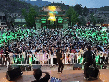 绝美！10万㎡秋日花海浪漫盛放，一起摇滚| 北京音乐地图