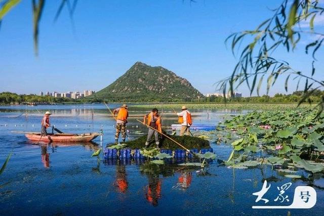 壹点号·秀山东｜山清水秀华山湖，鹊华秋色诗意浓