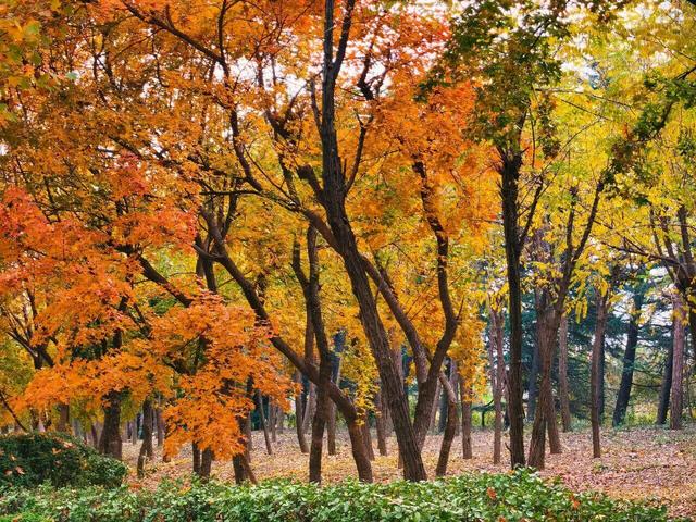潍坊峡山：秋末冬初美景如画