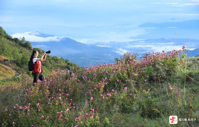 来云南旅居吧丨腾冲秋游草原正当时