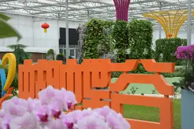数字赋能、大数据“跑腿” “中国花谷”沭阳正奔向智慧农业“4.0版”图片