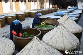 新春走基层丨一碟咸菜的“酸爽”传承图片