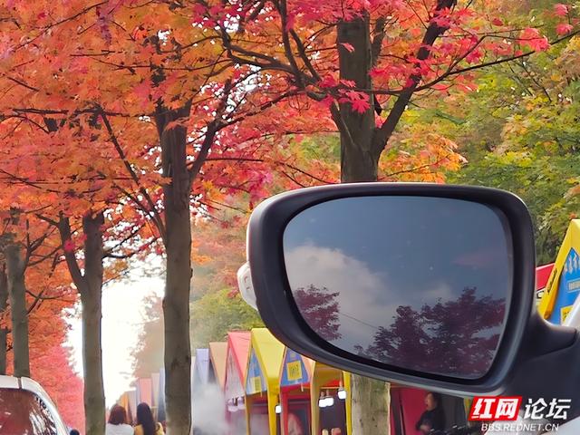 秋游时刻丨当秋日遇 “意外”，鱼形山用一湖碧水、满道红枫作答