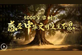 树载千秋·同根同祖丨5000岁古树下感受中华文明生生不息图片