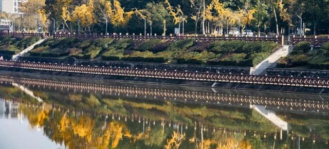 超美！大邑人的顶流来了