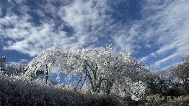 武隆：罩云山迎来今冬首场大范围雾凇美景
