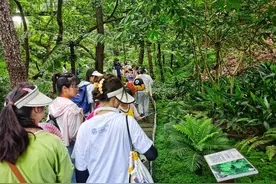 中秋国庆去哪玩？来成都市植物园“足不出川”看“风情版纳”图片
