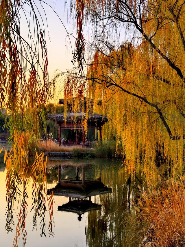 太美了！北京紫竹院如油画般梦幻