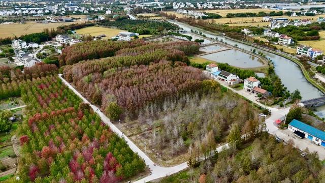 300亩！免费参观