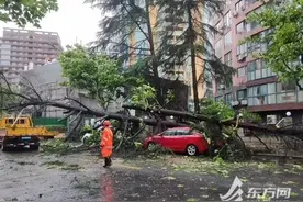 上海近一周车险报案量成倍增长！次年保费会增加吗？注意：这种情况不予赔偿→图片